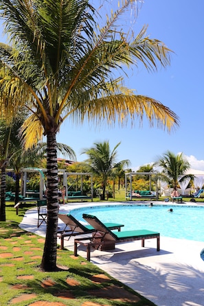 A pool area with lounge chairs and a palm tree.