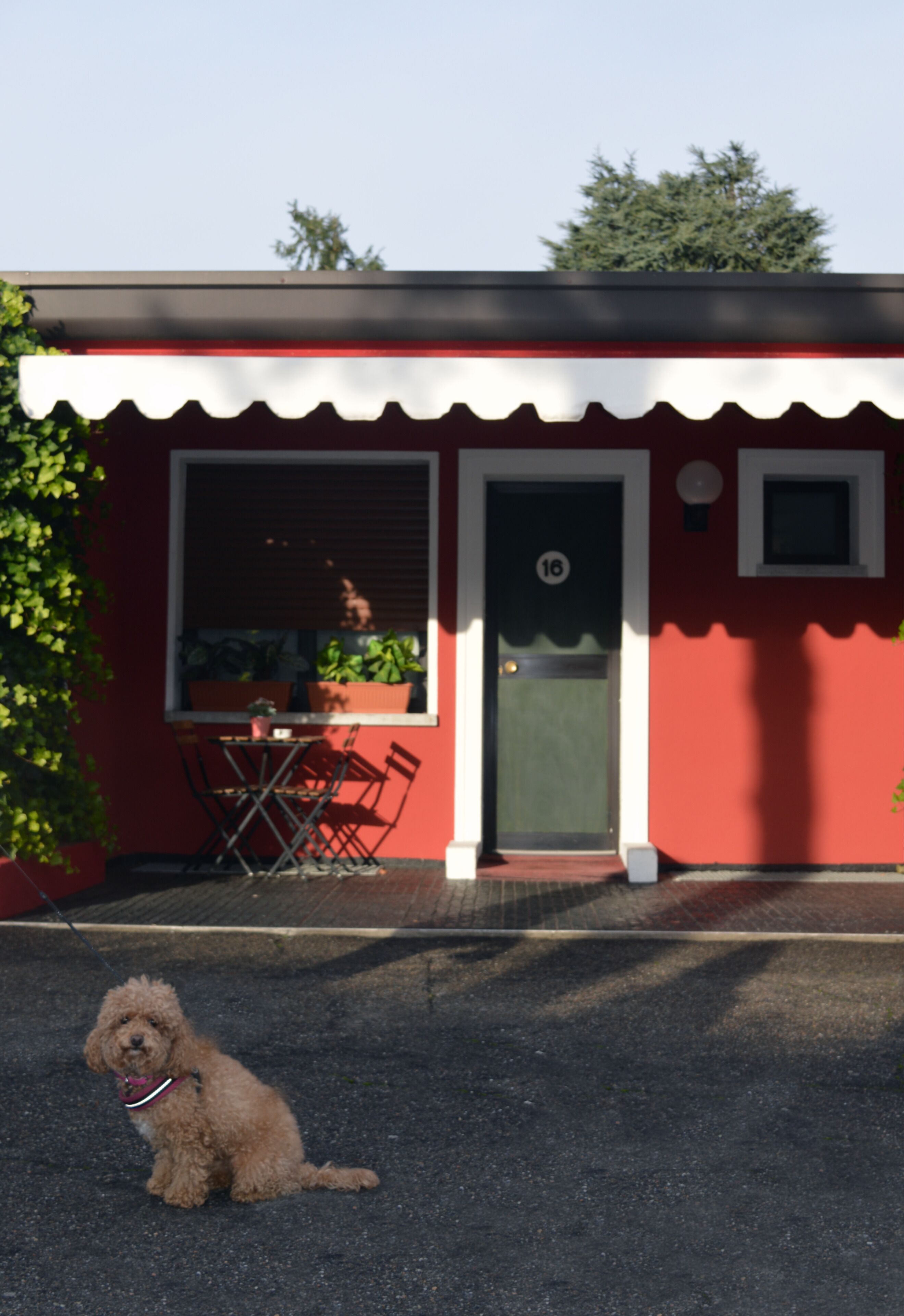 Photo - 7Motel - Settimotel