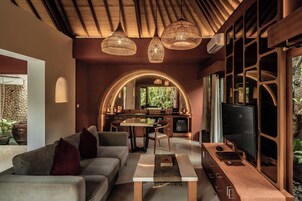 50-inch LED TV with digital channels, Netflix, streaming services