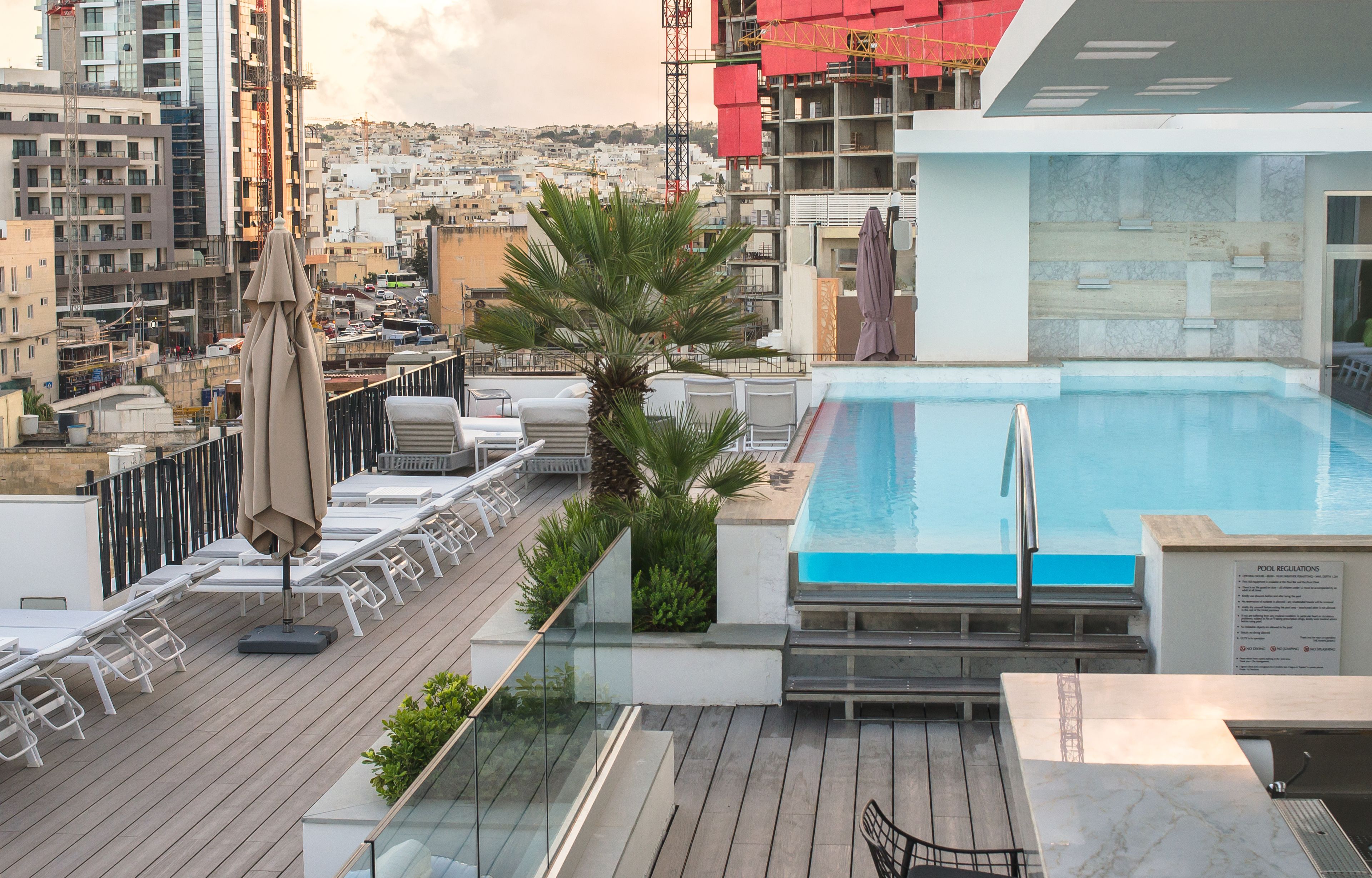 A rooftop pool with lounge chairs, a palm tree, and a city view.