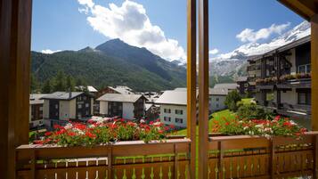 Vista desde la propiedad