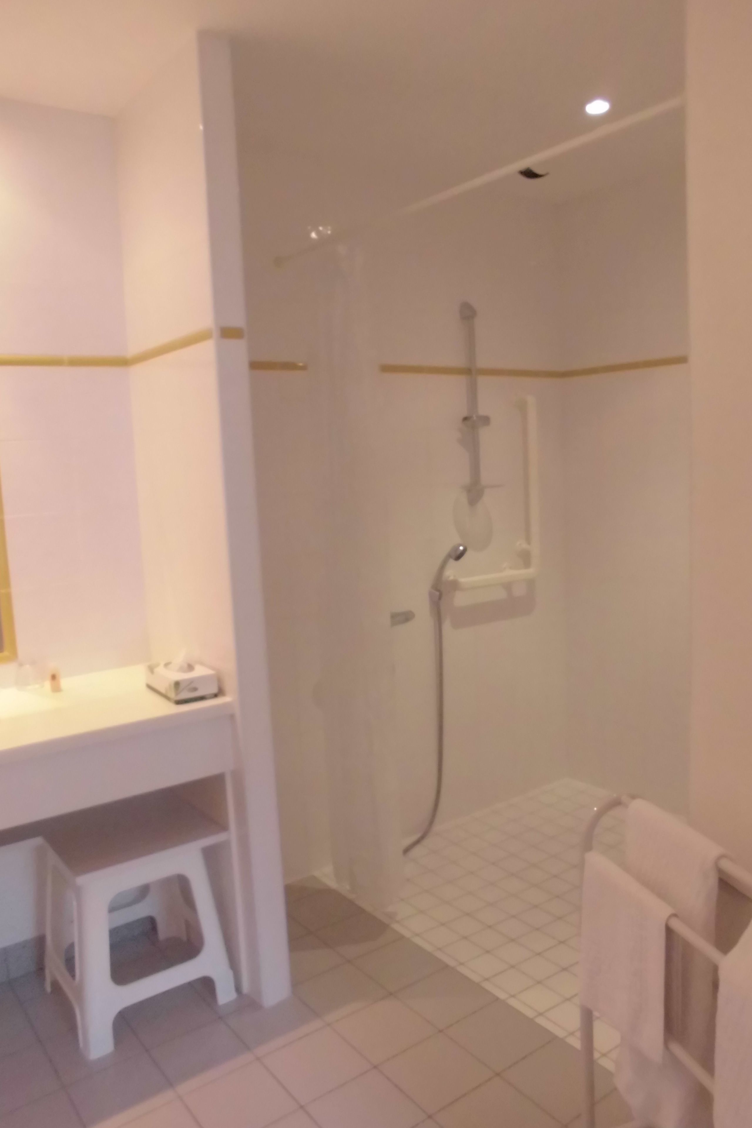 superior twin room, 2 single beds, accessible | bathroom shower