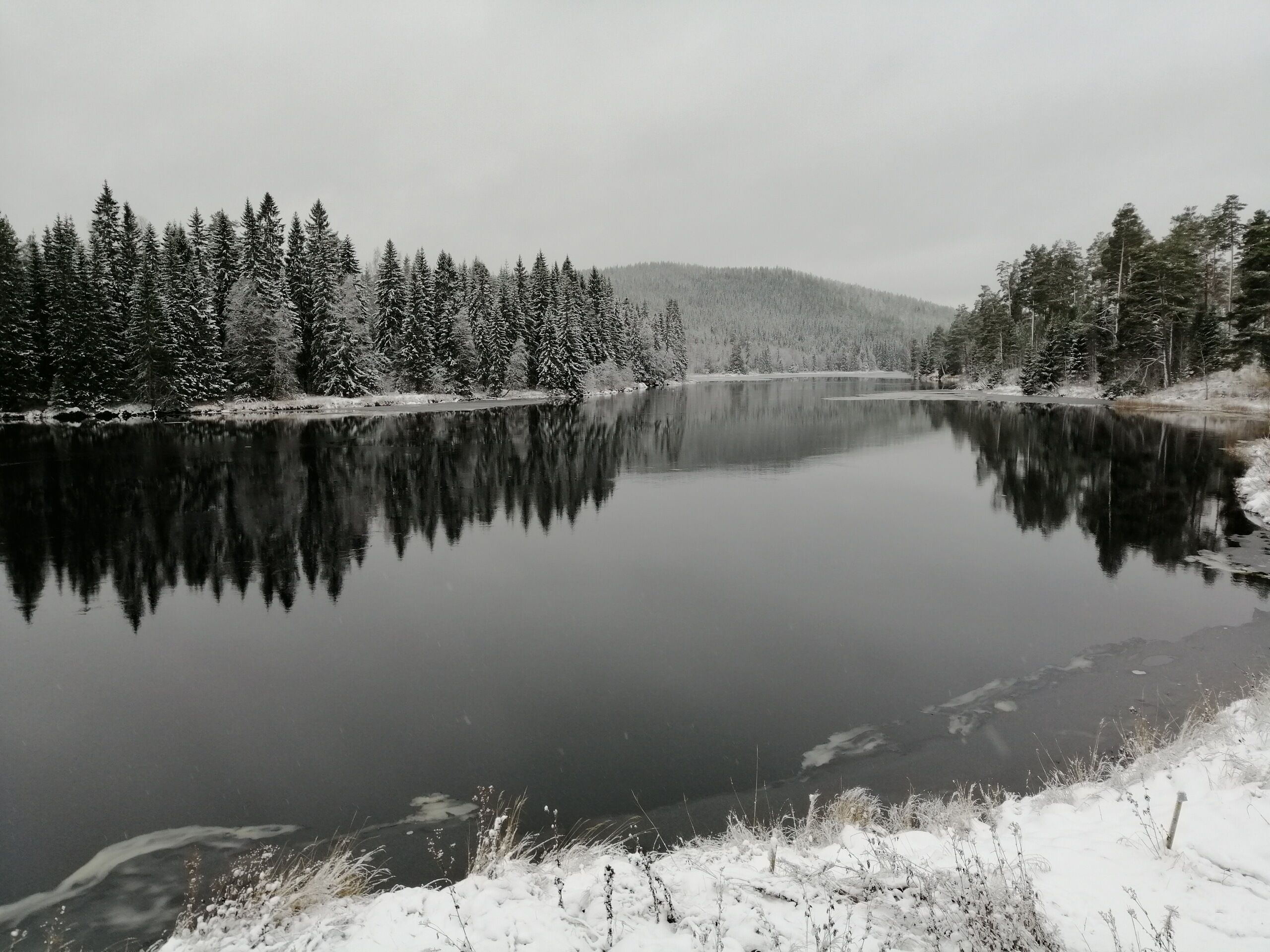 Un lago sereno rodeado de árboles nevados y una colina distante.