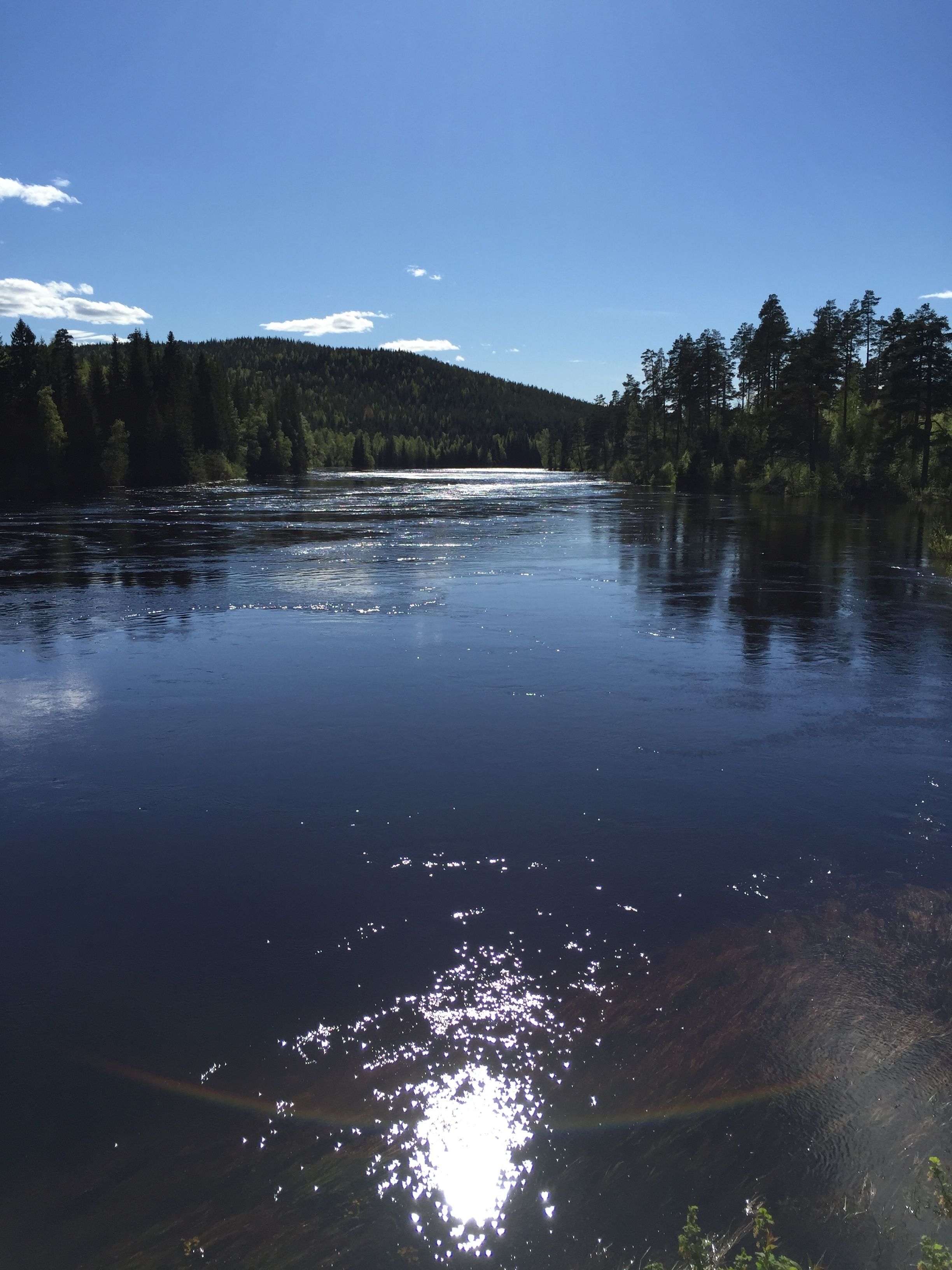 A calm river with reflections of trees and a clear sky.