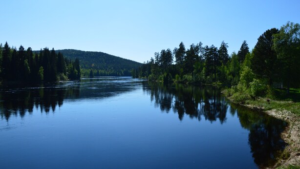 A calm river with dense forest on both sides. - Lugnet Malung Hotel (Malung)