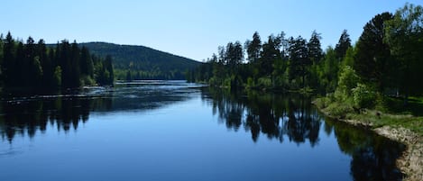 Utsikt från boendet