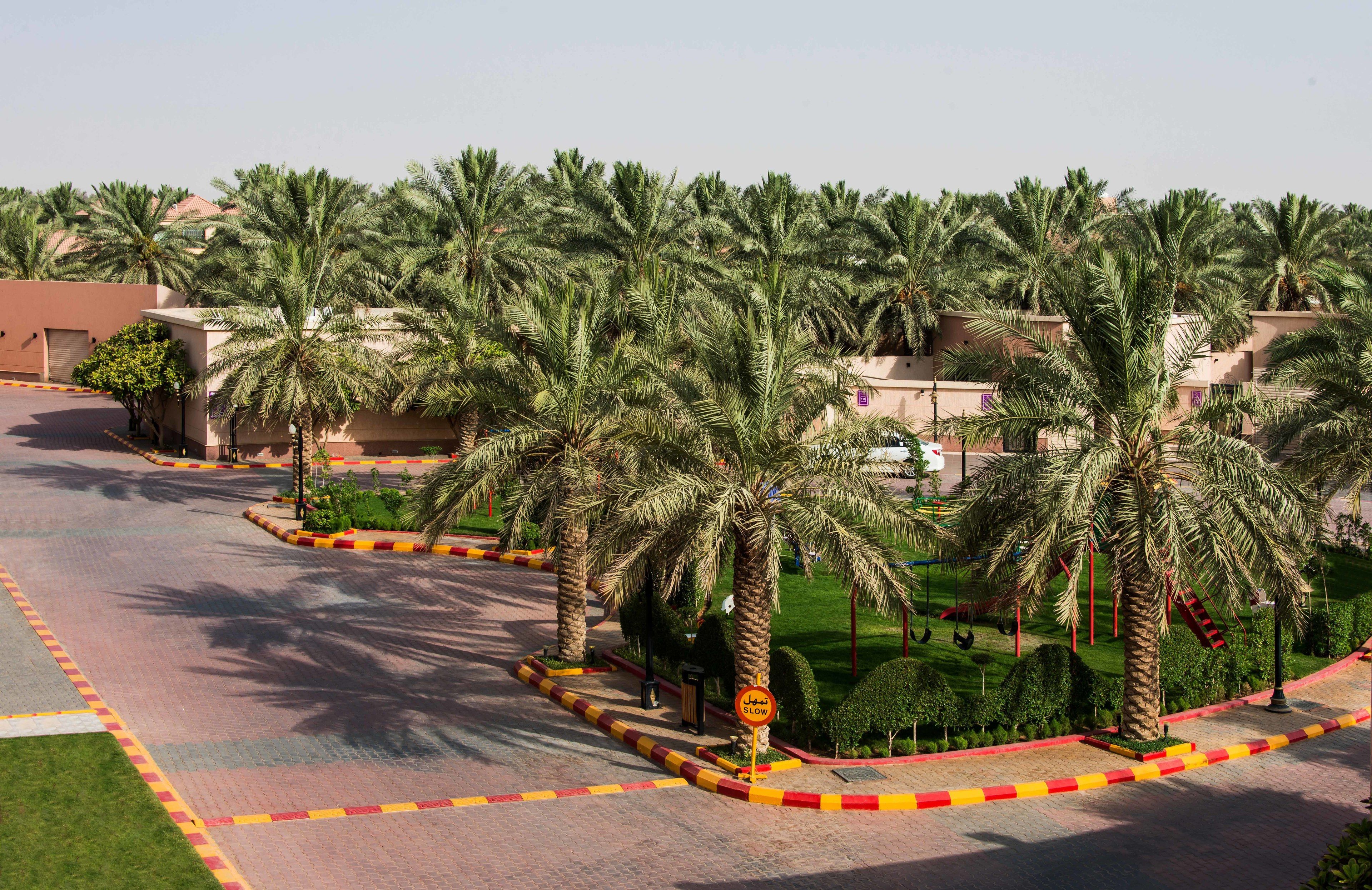 A road lined with palm trees and a building with a beige facade.