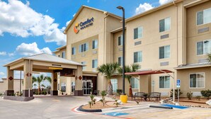 A Comfort Inn & Suites hotel with a covered entrance, palm trees, and a wheelchair-accessible sign. - Comfort Inn & Suites Lakeside (Eagle Pass)