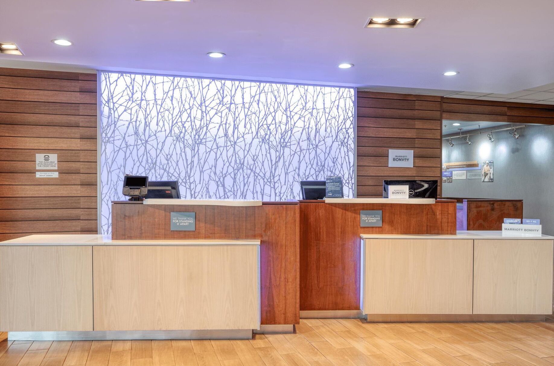 Un hall d'accueil d'hôtel avec des panneaux de bois, deux comptoirs de réception, une grande fenêtre donnant sur une branche d'arbre et un écran numérique.