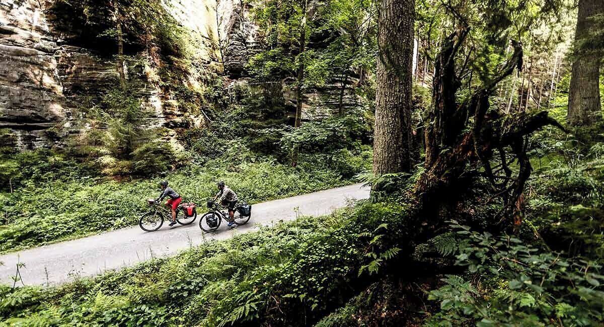 Un sendero pavimentado estrecho en un área boscosa, con ciclistas.