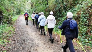 Um grupo de pessoas caminhando por uma trilha na floresta.