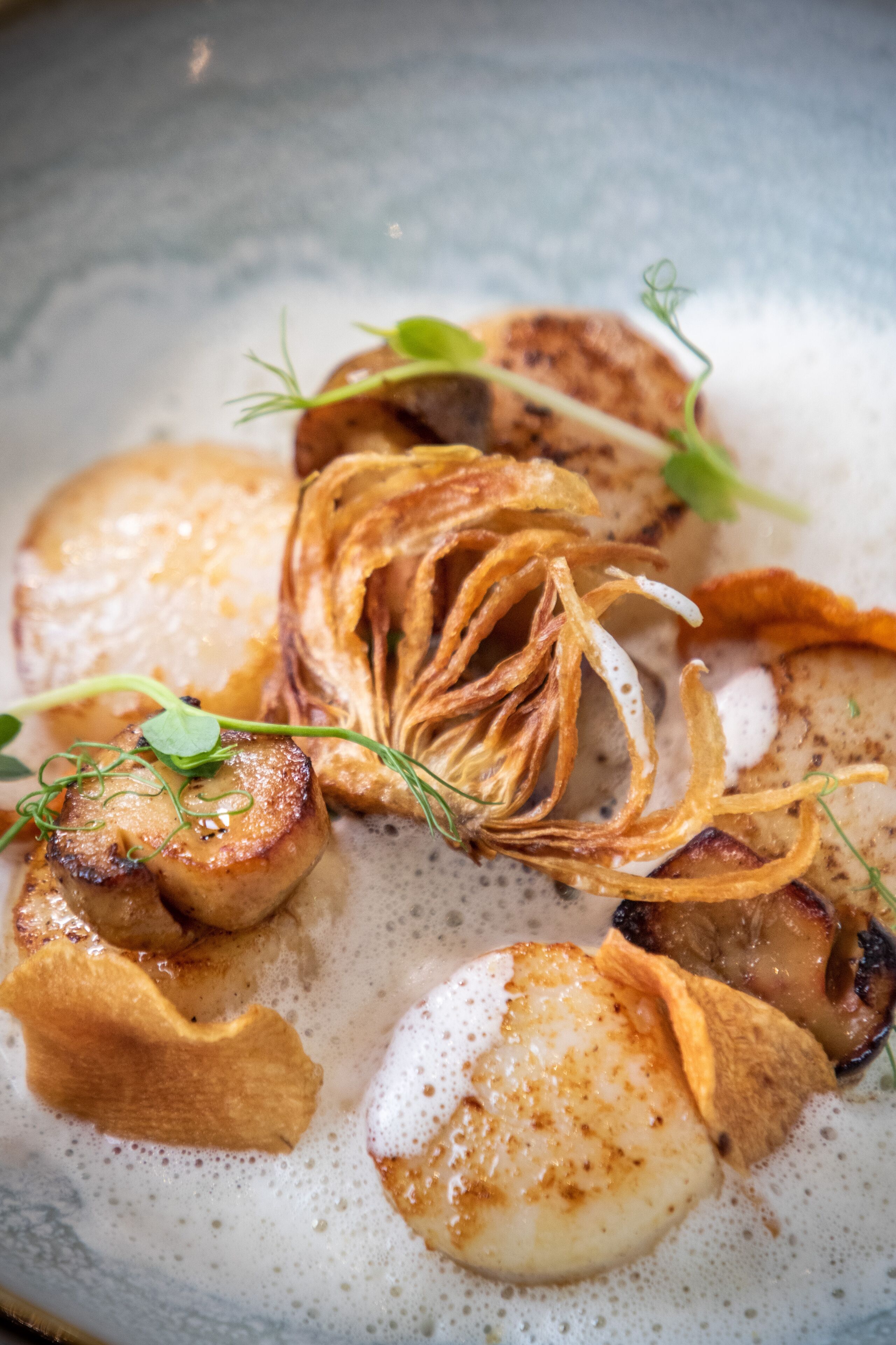 A close-up of a dish with seared scallops, mushrooms, and crispy elements, garnished with microgreens.