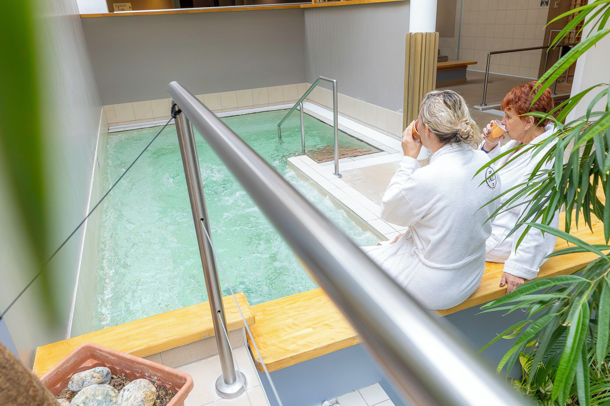 Ein Wellnessbereich mit Pool, Holzmöbeln und Topfpflanzen.