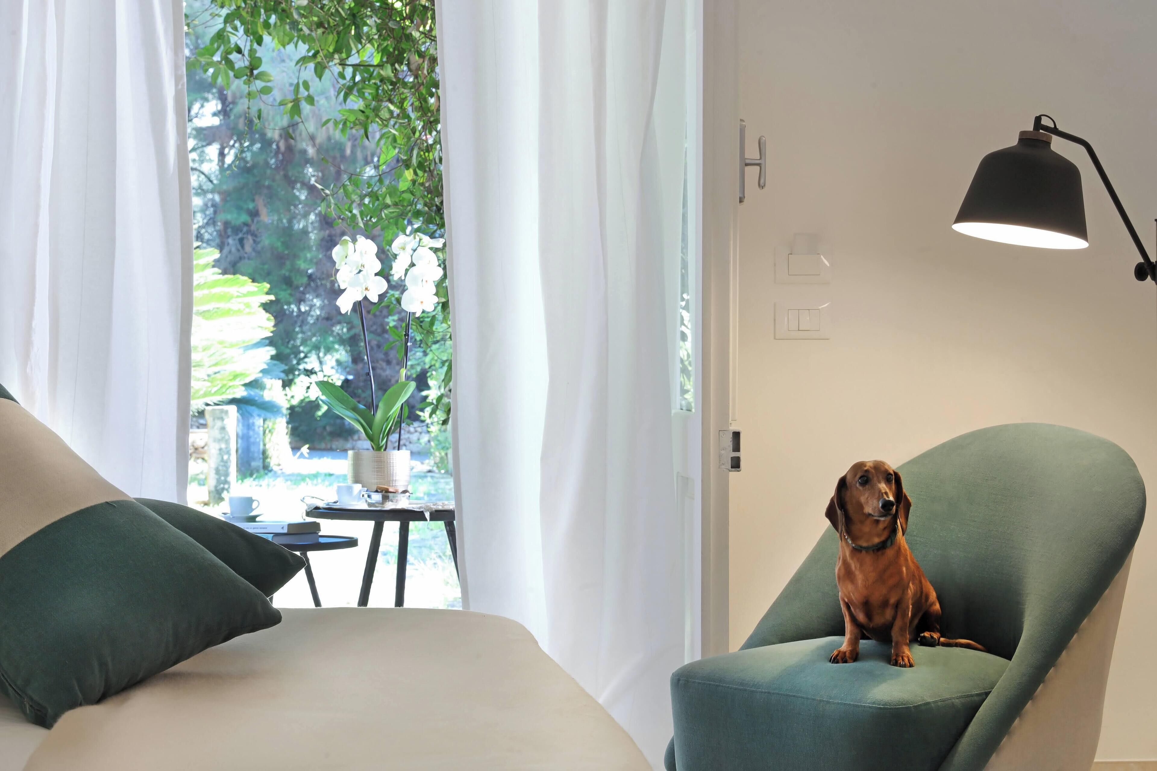 Foto - Maison D'Enrì