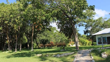 Vue sur le jardin