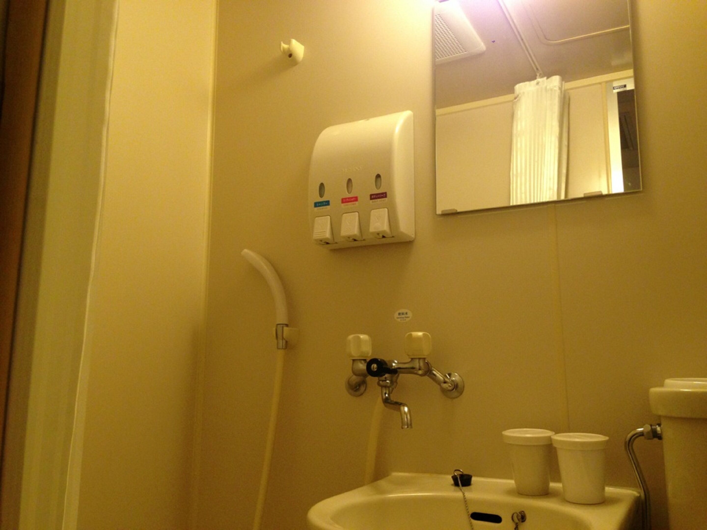 A bathroom with a sink, a mirror, a towel dispenser, and a showerhead.