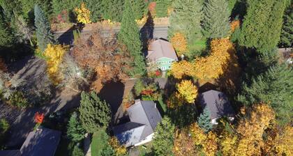 McKenzie River Mountain Resort