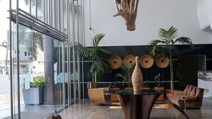Un hall d’entrée moderne avec un mur de verre, une sculpture en bois suspendue, des meubles en osier et un tapis aux couleurs vives.