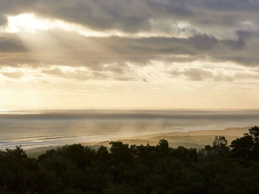 Paisaje costero con vista al mar y colinas distantes, enmarcado por follaje denso.