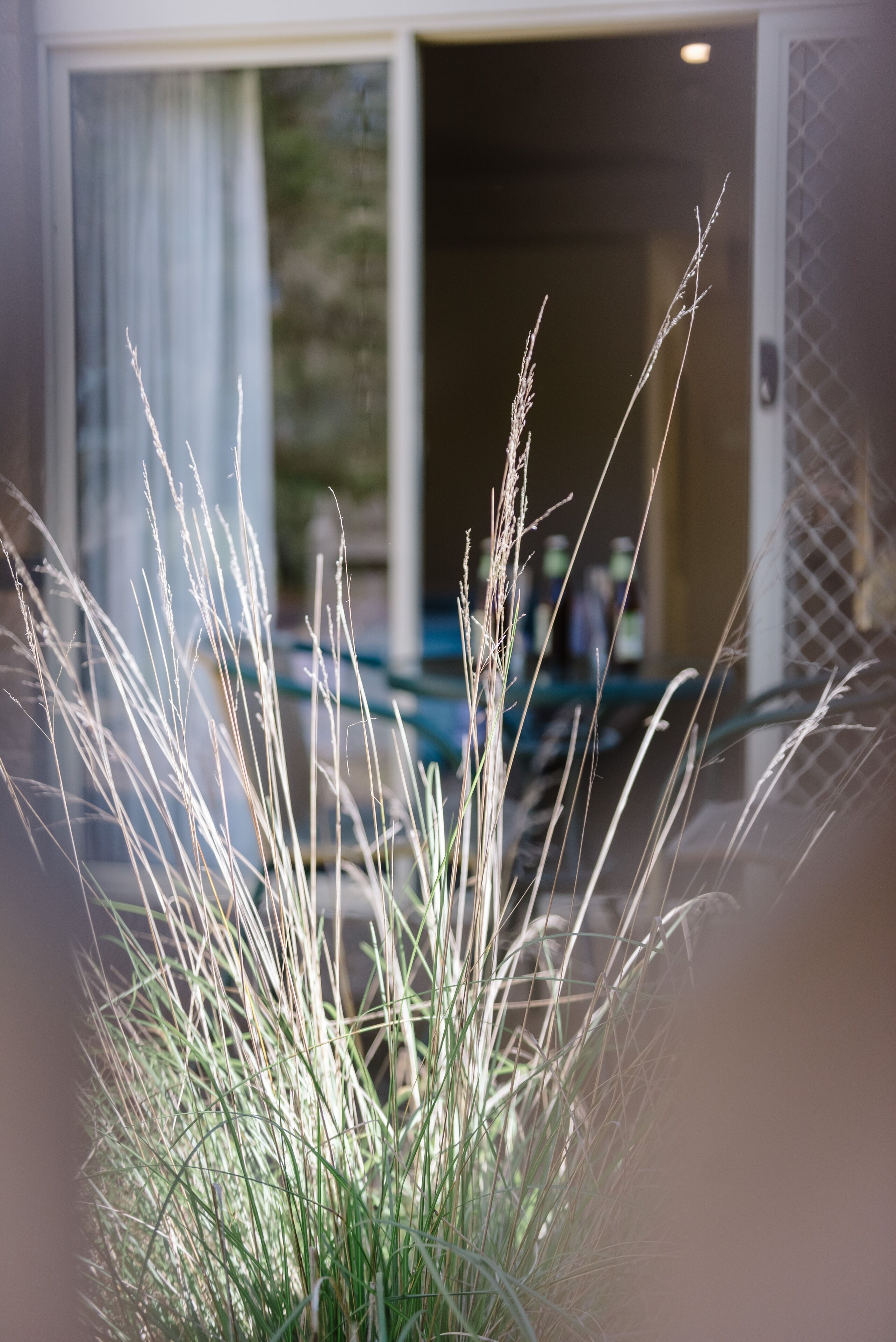 Een uitzicht op een gevel met een glazen deur en een plantje op de voorgrond.