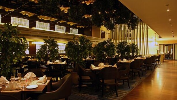 Un restaurante con mesas dispuestas para comer, sillas y plantas en macetas.