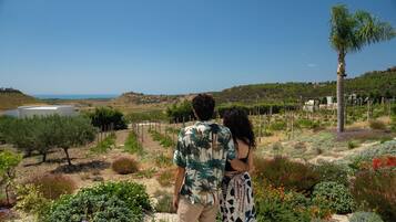 A couple standing on a hill overlooking a vineyard with a view of the sea.
