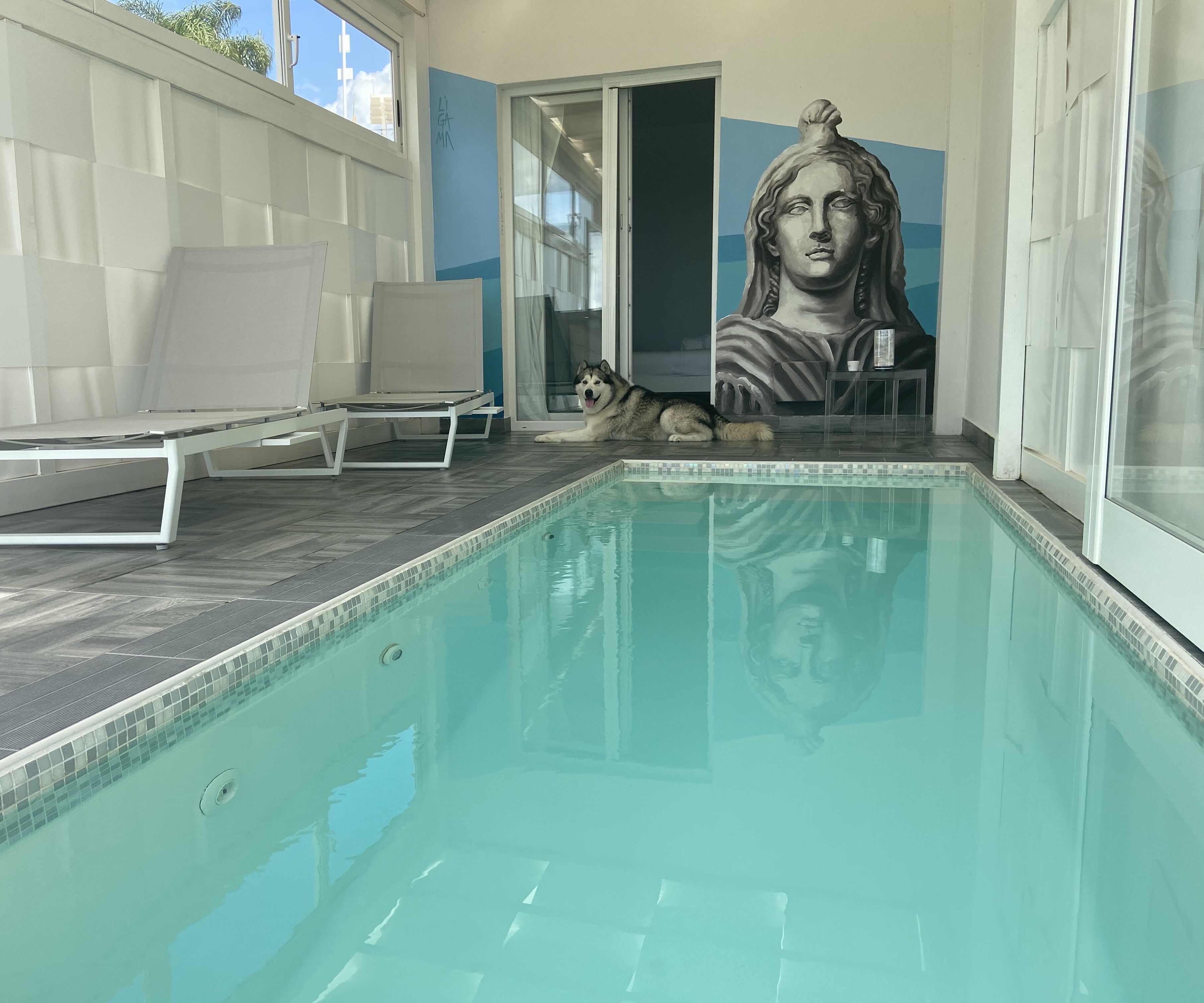 A swimming pool with a lounge area, a mural, and a dog lying by the pool.