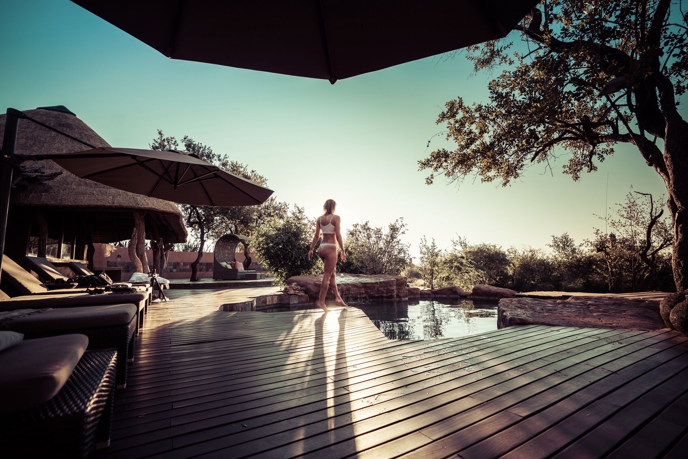 Outdoor pool, sun loungers