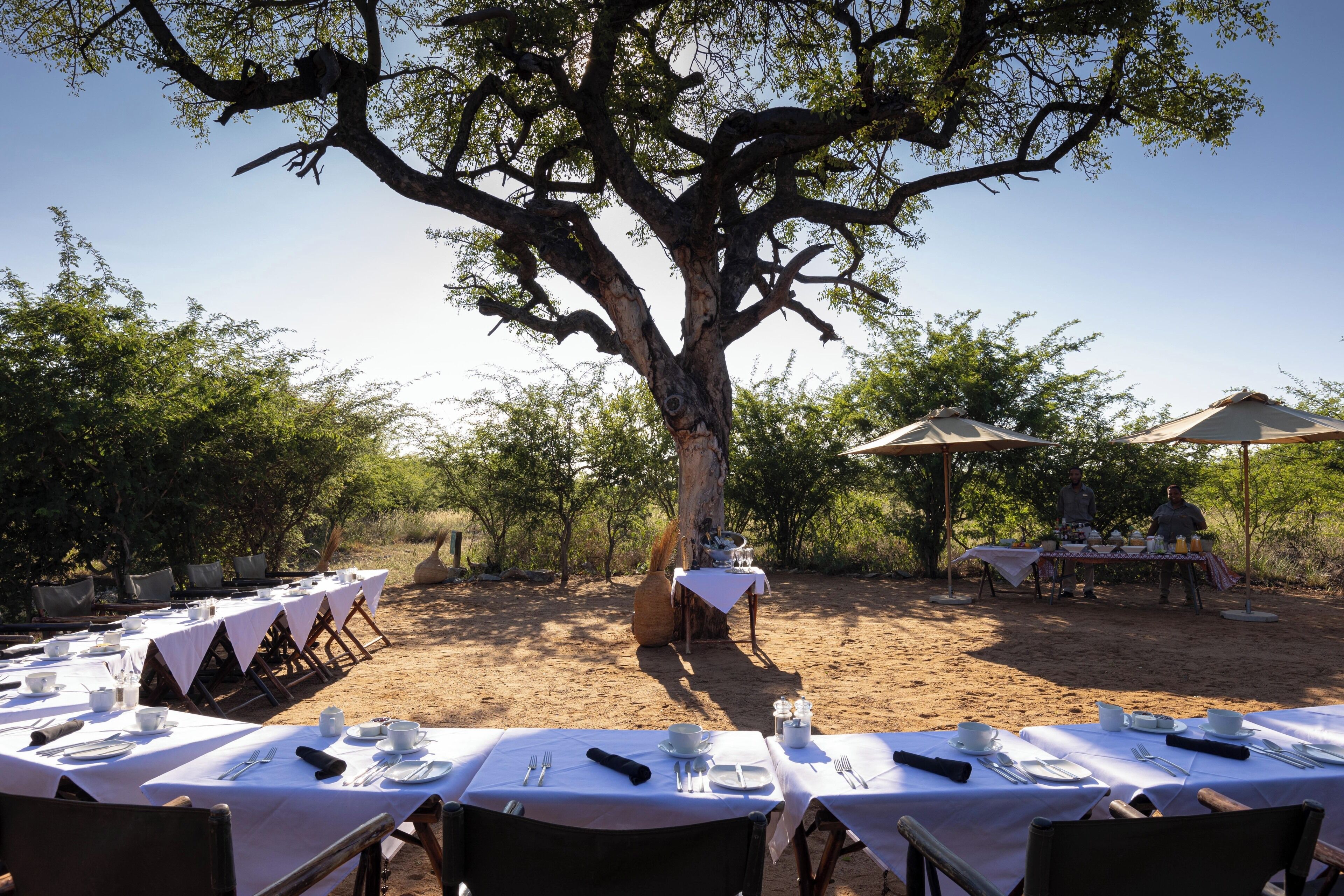 Un espace de restauration en plein air, avec des tables dressées pour le repas, entouré d’arbres et sous un ciel dégagé.