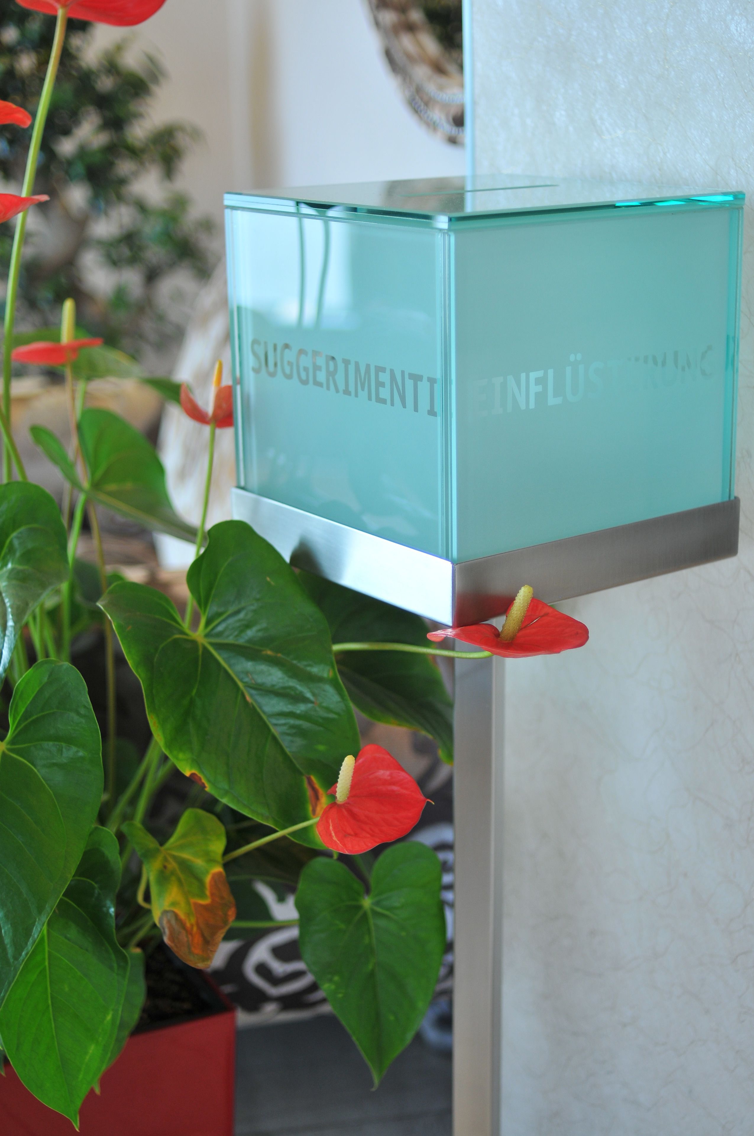 A glass display case with the text "SUGGERIMENTI INFLUS" and a red flower in front of it.