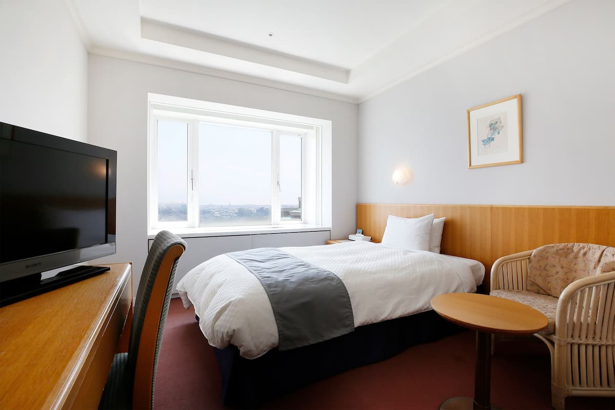 A hotel room with a bed, a television, a window with a view, a chair, and a small table.
