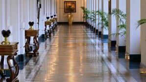 A long, well-lit hallway with a series of wall-mounted lights, a central hanging light fixture, and a framed painting on the wall.