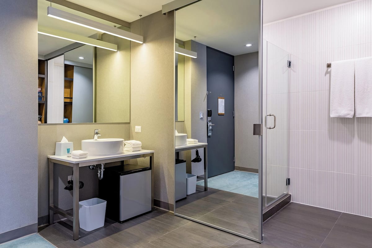 shower, hydromassage showerhead, designer toiletries, hair dryer