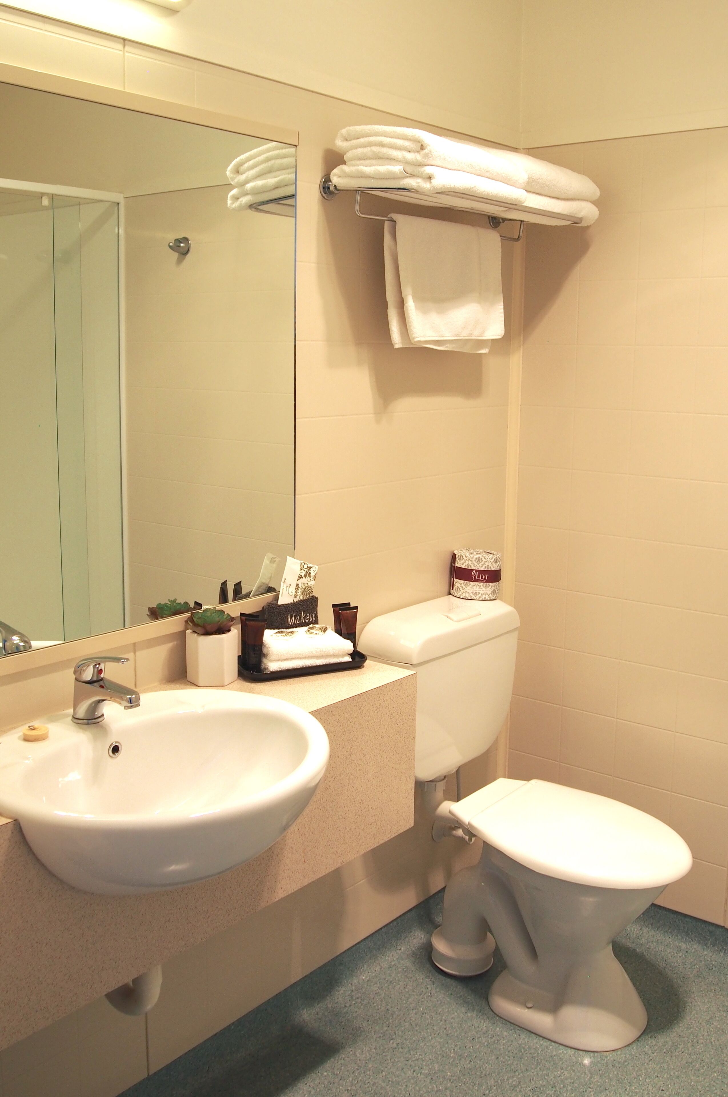 Een badkamer met een wastafel, spiegel, toilet en handdoekhouder.