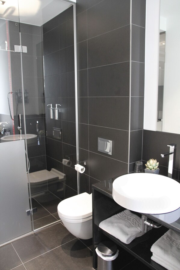 Articles de toilette (gratuits), séchoir à cheveux, serviettes fournies