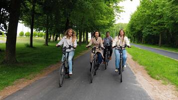 Um caminho pavimentado com árvores de ambos os lados, ideal para andar de bicicleta.