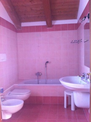 Shower, hair dryer, towels - Hotel Vidale (Mestre)