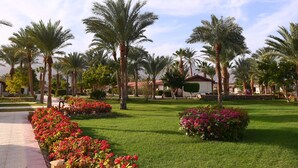 Ein gepflegter Garten mit Palmen, roten Blüten und blauem Himmel.