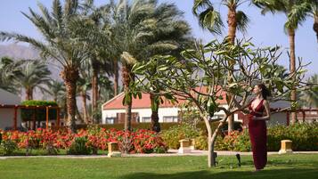 ๋ฆฌ์
์
ํ