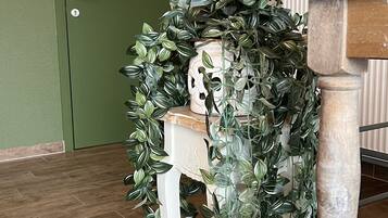 Una silla blanca con una planta verde enroscada, una mesa de madera y una puerta verde con un picaporte blanco.