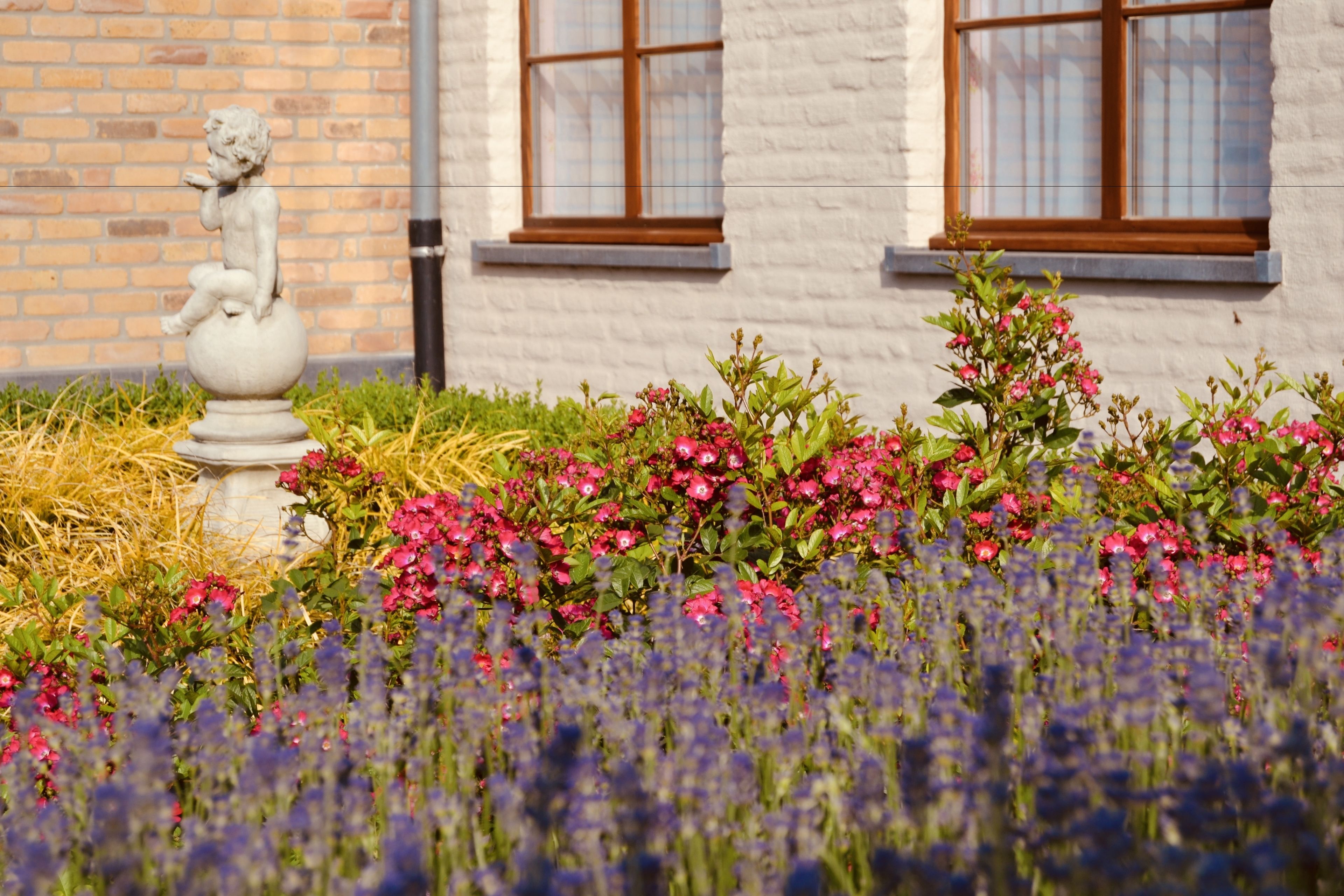 Una statua di un bambino su un piedistallo, circondata da un giardino con fiori rosa e viola, e un edificio bianco con finestre sullo sfondo.