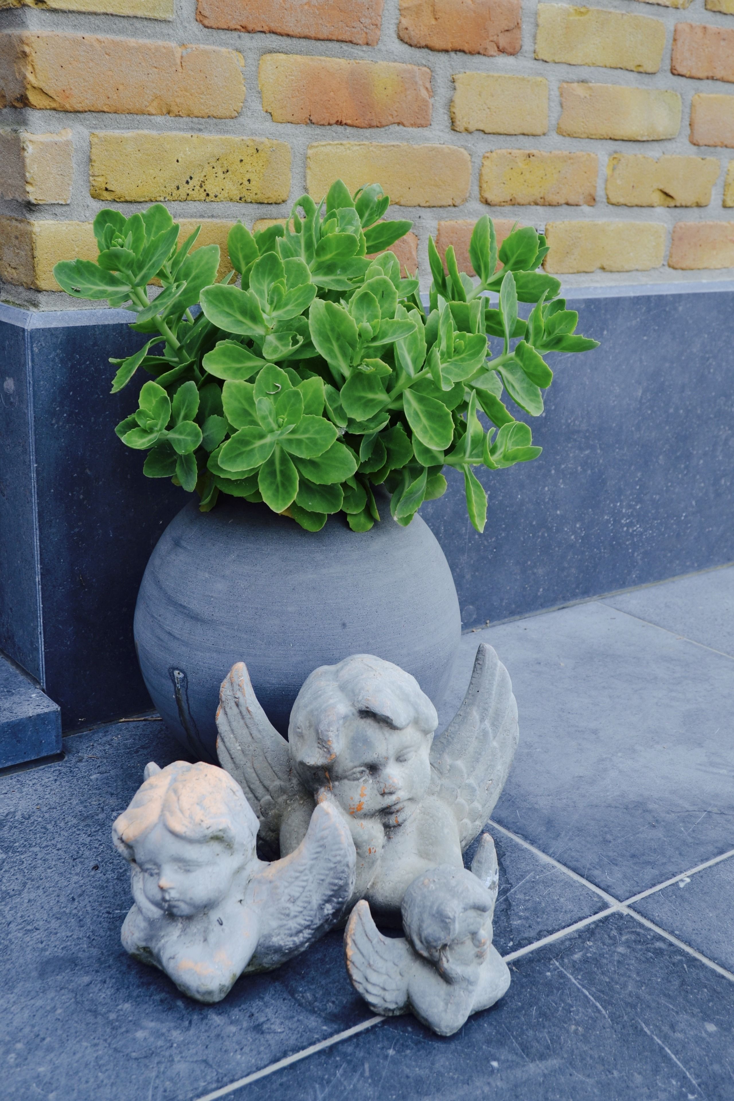 A potted plant with green leaves and a decorative angel statue beside a brick wall.