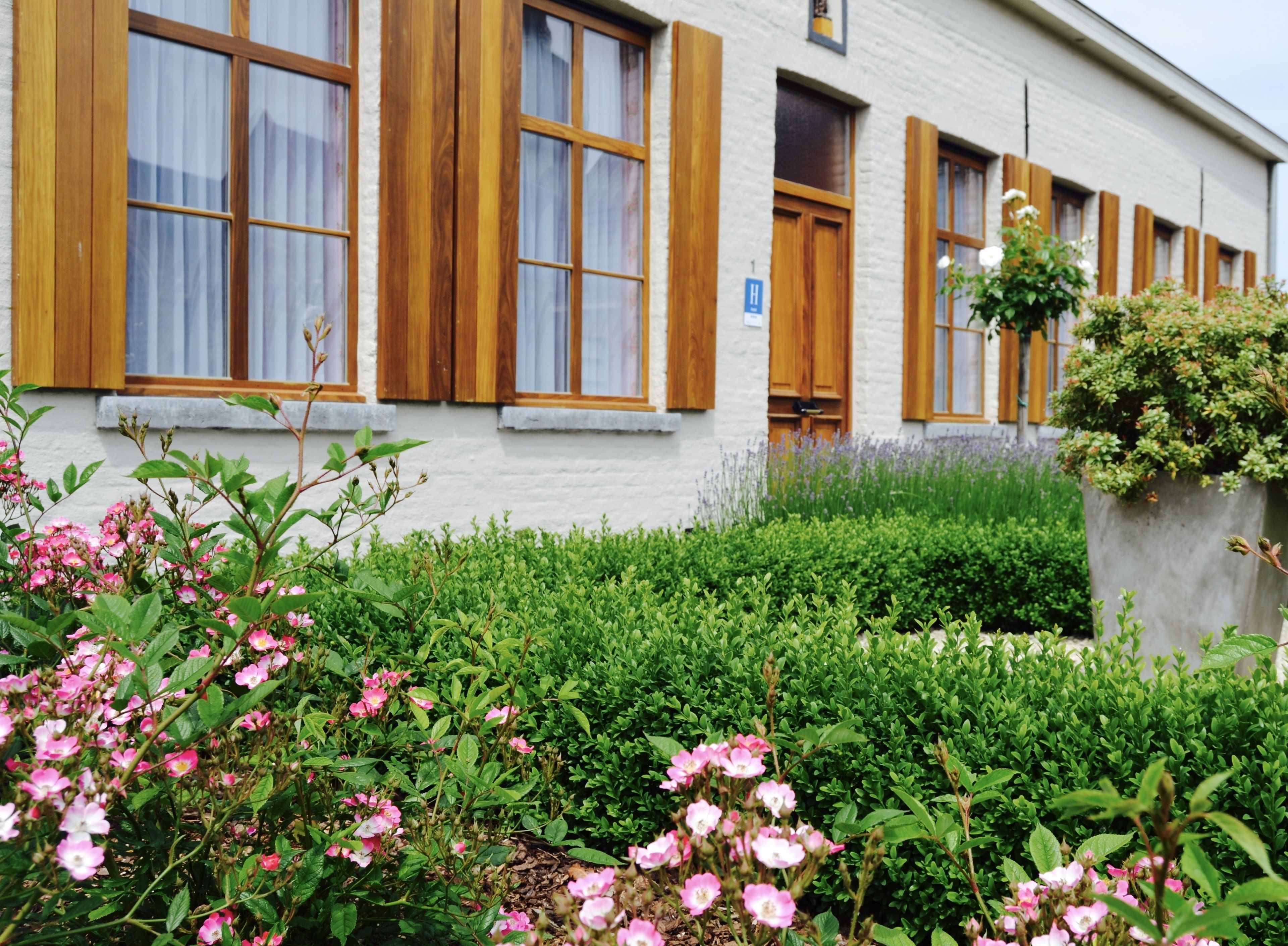 Un bâtiment blanc avec des volets en bois et un jardin orné de fleurs roses  à l’avant.