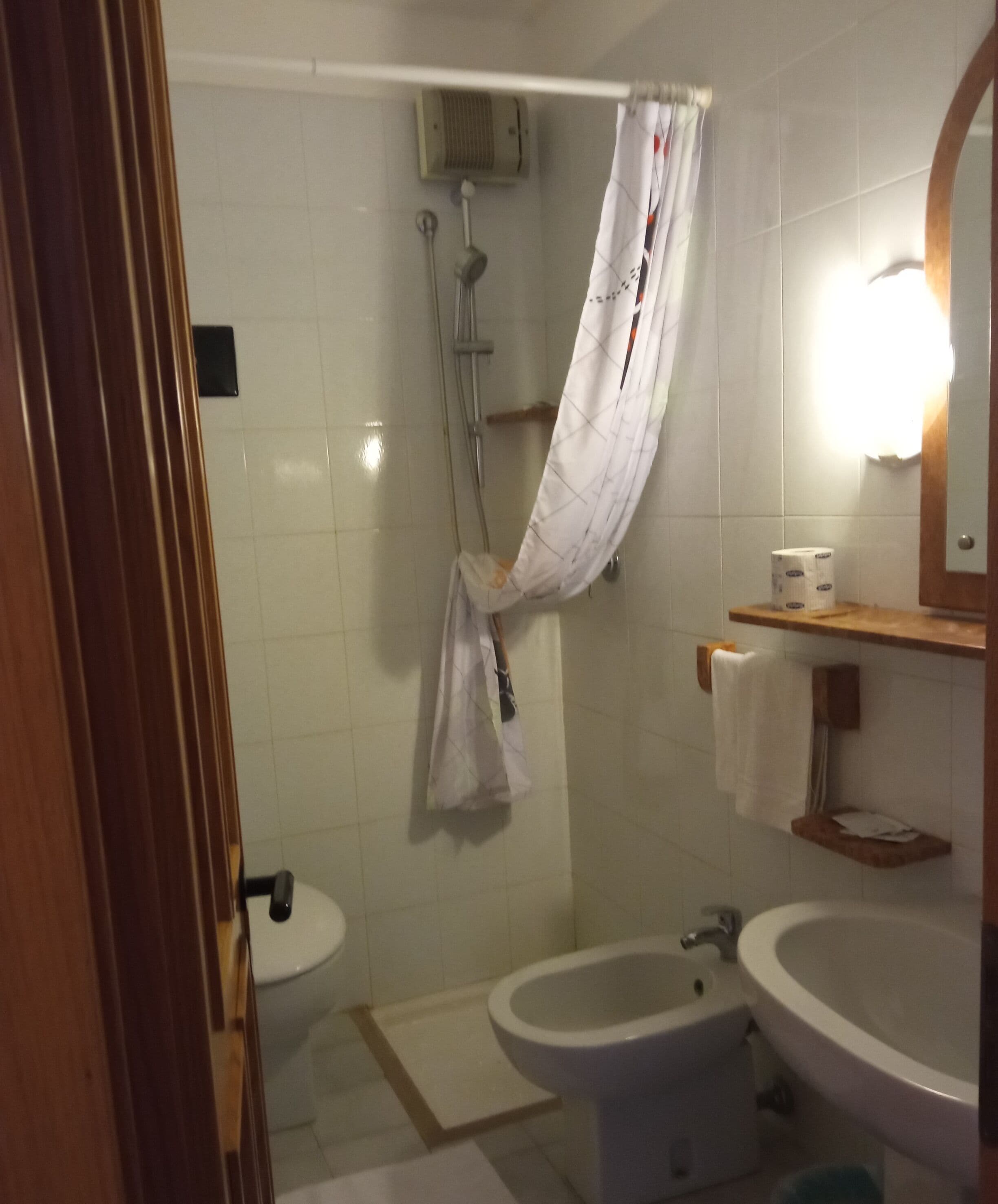 Baño con ducha, inodoro y lavamanos.