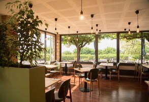 Un restaurante con mesas y sillas de madera, grandes ventanales con vistas a zonas verdes y lámparas colgantes.