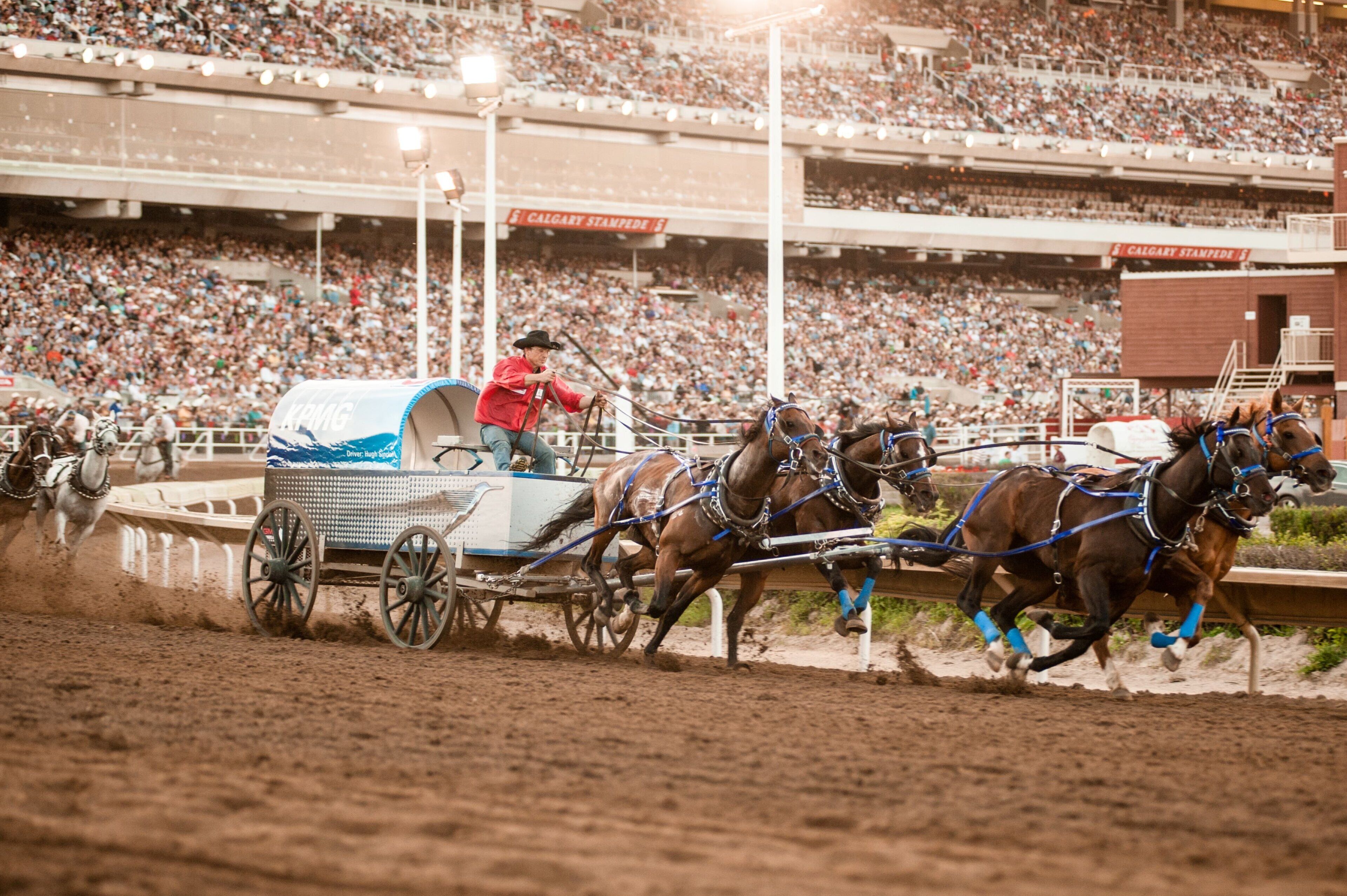 A horse-drawn carriage in a stadium with a crowd in the background.