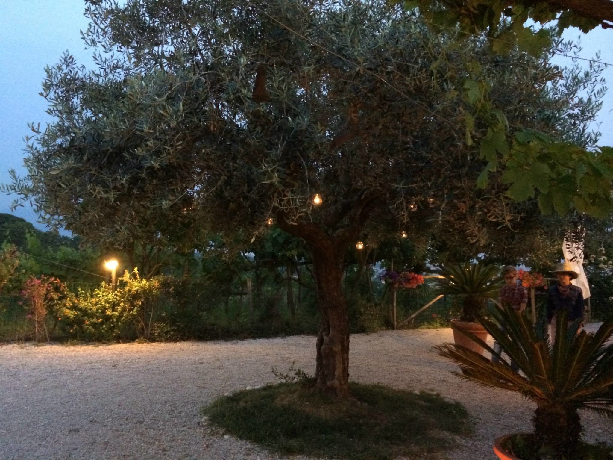 Photo - Tenuta Le Fornacelle