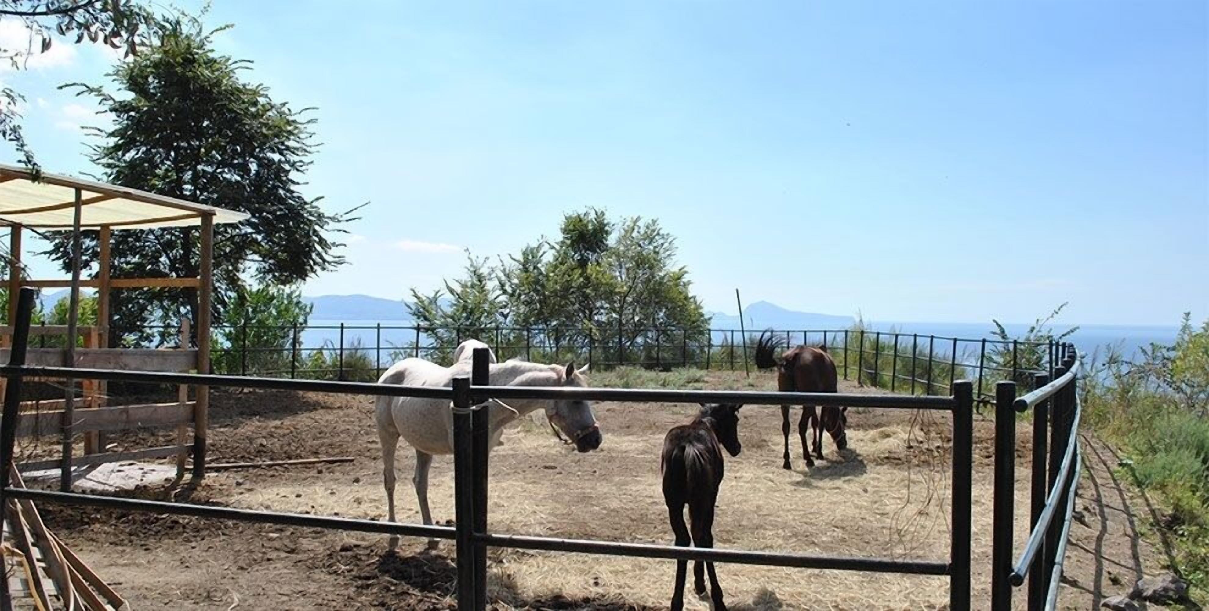 Photo - Tenuta Le Fornacelle