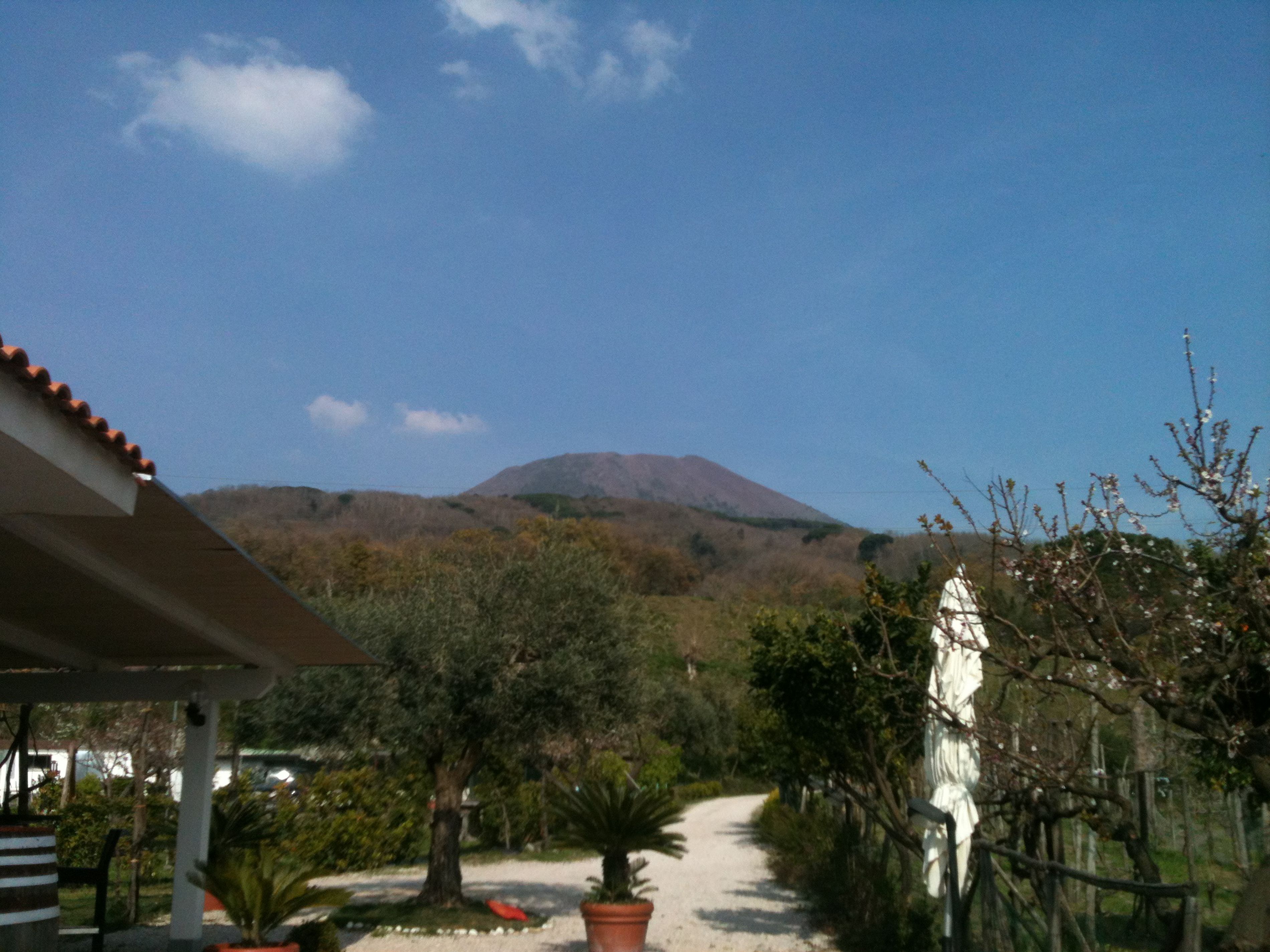 Photo - Tenuta Le Fornacelle