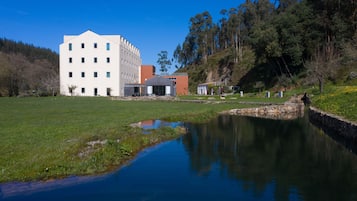 Trädgård